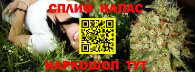 дмт Краснодар